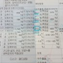 힐링카모터스 티스토리