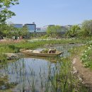 서울식물원 이미지