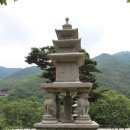 화엄사 | 지리산 천년고찰 화엄사 여행 후기 (역사 + 힐링 코스)