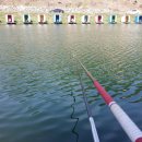 추곡터널낚시터 이미지