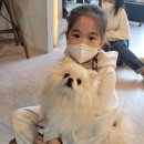 왈왈펫카페 이미지