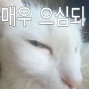 광고뱅크 - 순천시 율산3길 22 | 보험 1도 모르는 20대 여성 뱅크샐러드 보험 상담 후기 (광고아님)
