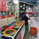 남도뻘낙지 이미지