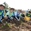 행복마을 로또복권 이미지