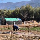 봉계약국 이미지