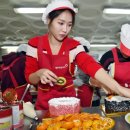 소유케이크 세계일보