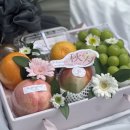 싱싱프루츠 이미지