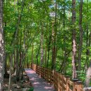 동해무릉건강숲 이미지