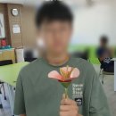 비바교육 네이버블로그