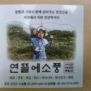 구름뜰농장 이미지