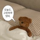 카페영아랑