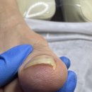 뷰티푸스켓츠 이미지