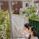 사뿐사뿐 | 결혼 준비 3단계: 커플 스냅, 서울 스냅, 해방촌 스냅 촬영 후기 (위고스냅)