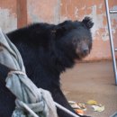 김광수 농장 이미지