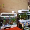 성호로3L | 부천시 원종동 수족관 방문후기