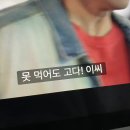 태성카써비스 | 못 먹어도 고!!!