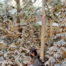 뉴곰돌이야식 | 폰 바꾼 후 일상