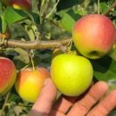 도성농장 이미지