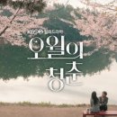 청춘 P.T 이미지