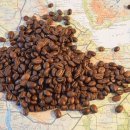 예가체프 이미지