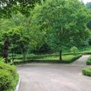 예당관광지 B-야영장 이미지