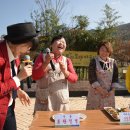 봉황섬터 이미지