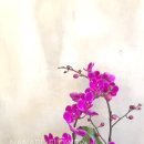 사파동396 이미지