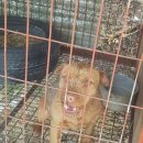 (유)대풍 이미지