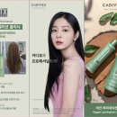 파랑새 미용재료 이미지