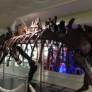 중원대학교박물관 이미지