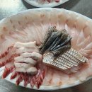 제철 !! 숫치 민어회/생물 파 먹갈치/특大참고등어/떨이 생물 한치/참굴비 이미지