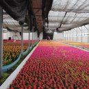 서오산농장 이미지