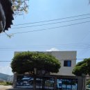 힐링탁구 | 남해읍 OZ카페 후기, 탁구 치고 들른 정원 있는 힐링 카페