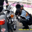 드비취일 이미지