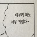 하이베이커리