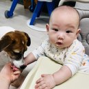 덕수동물병원 이미지