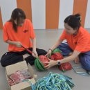 부부퍼스트태권도장 이미지