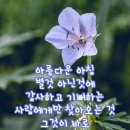 가슴만 알죠 (OST) 노래 소향, 이미지