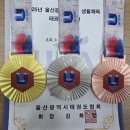 늘푸른태권도체육관 이미지