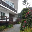 샛별여행 이미지