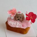 청키딩키 이미지