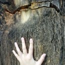 에이원농장 이미지