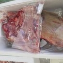 영광흑염소농장 이미지