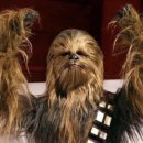 감자동물병원 이미지