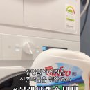 샐리오 이미지