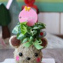 감천초등학교유치원 이미지