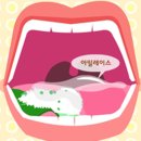 헬스클린 이미지