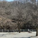 산정호수맑은물캠핑장 이미지