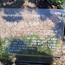 바늘정원 이미지