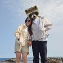 비치드웨일카라반야영장 이미지